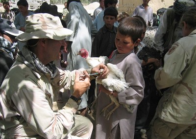 Afghanistan Poultry Value Chain Strategy
