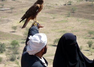 Yemen Stabilization Program