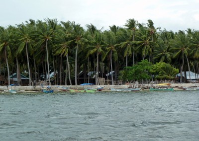 Indonesia Fisheries and Aquaculture Value Chains