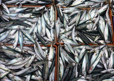 Namibia Seafood Markets Assessment