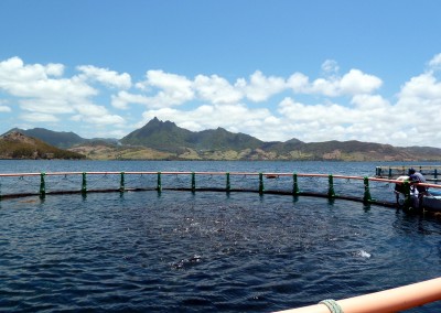 Mauritius Fisheries & Aquaculture Plan