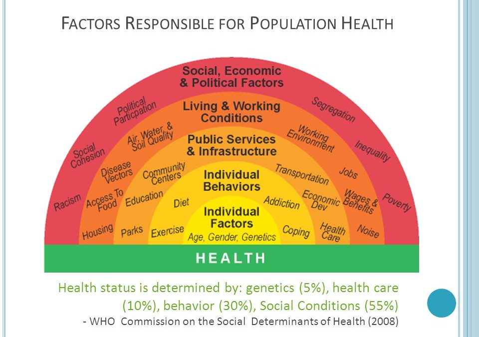 AISD Introduces Health Impact Assessment Services