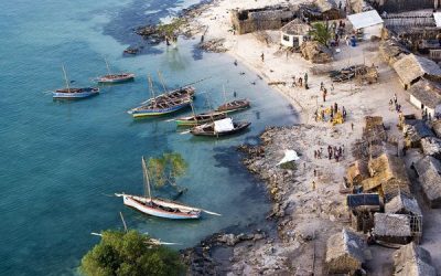 AISD Partners with MSI on USAID Contract in Mozambique